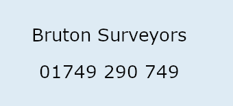 Bruton Surveyors